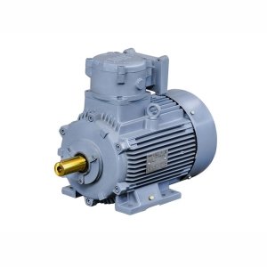 HAZARDOUS AREA MOTORS HAZARDOUS AREA MOTORS