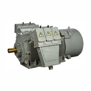 Medium Voltage Motors