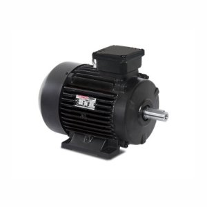 Squirrel / Cage Motor