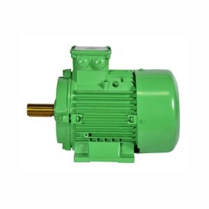 SynchroVERT IE4 Motors